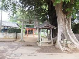 古原八幡神社（巨木群）.jpeg